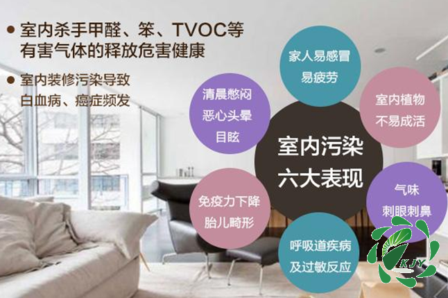 甲醛真可怕，貼壁紙竟然也會導(dǎo)致甲醛中毒