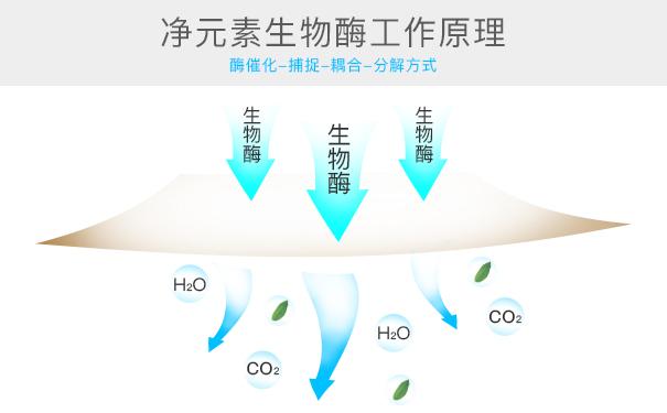 光觸媒、生物酶、空氣凈化器，哪家除甲醛公司效果好？